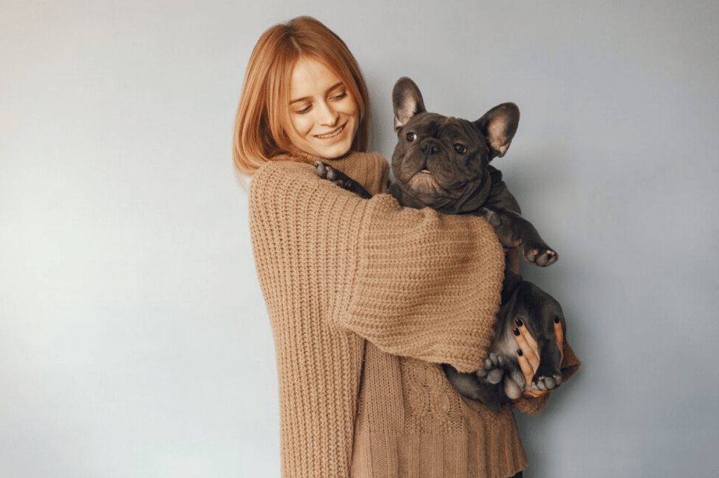 Best Age To Adopt a French Bulldog Puppy