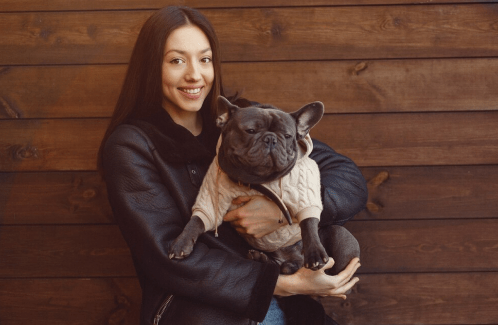 Best Age To Adopt a French Bulldog Puppy